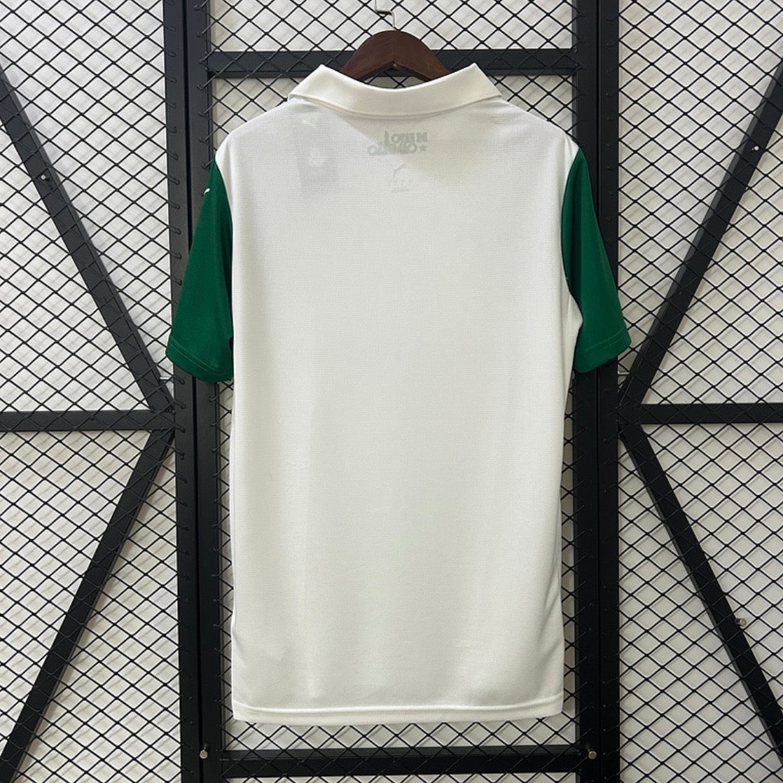 25/26 Palmeiras away