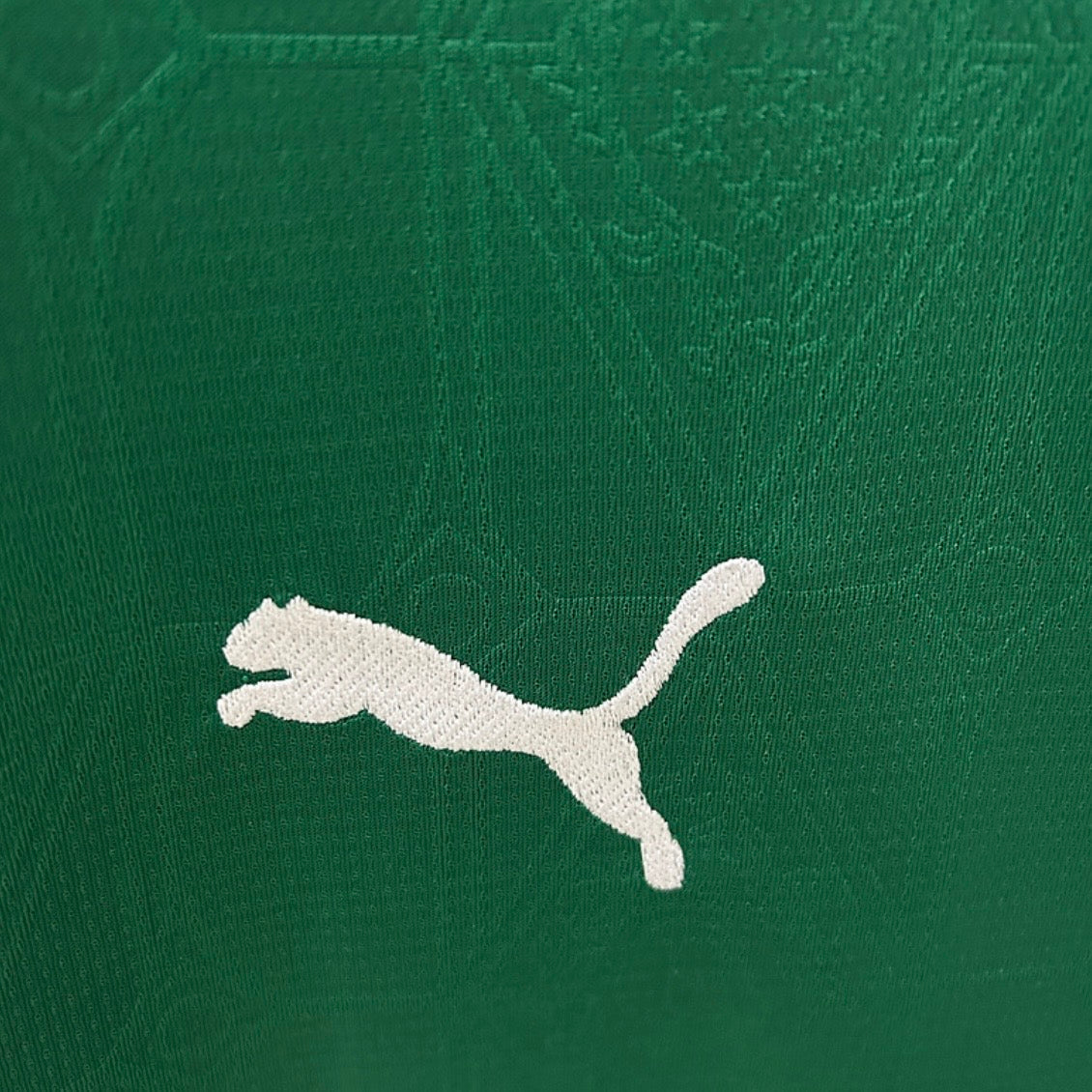 25/26 Palmeiras home