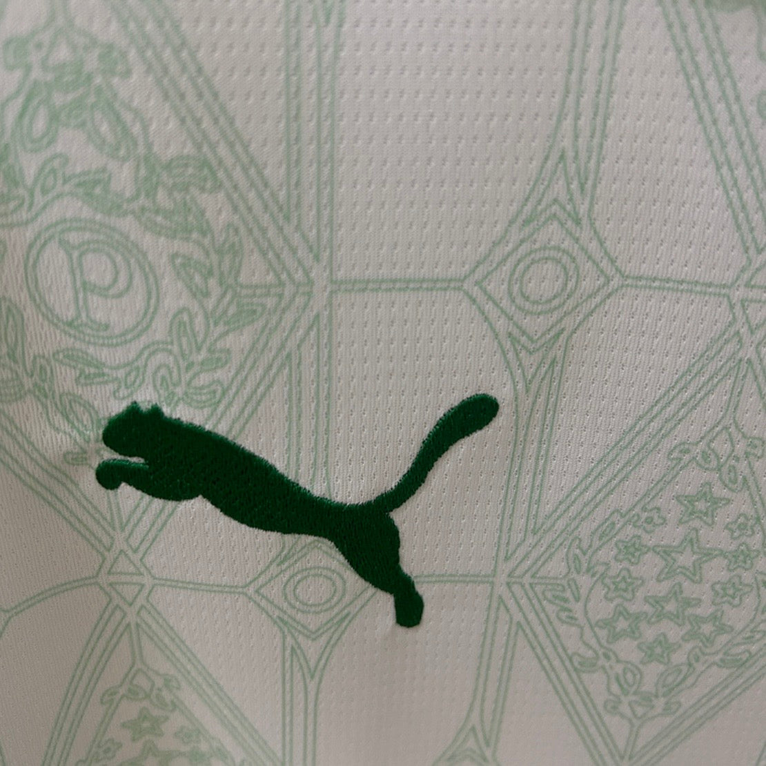 25/26 Palmeiras away