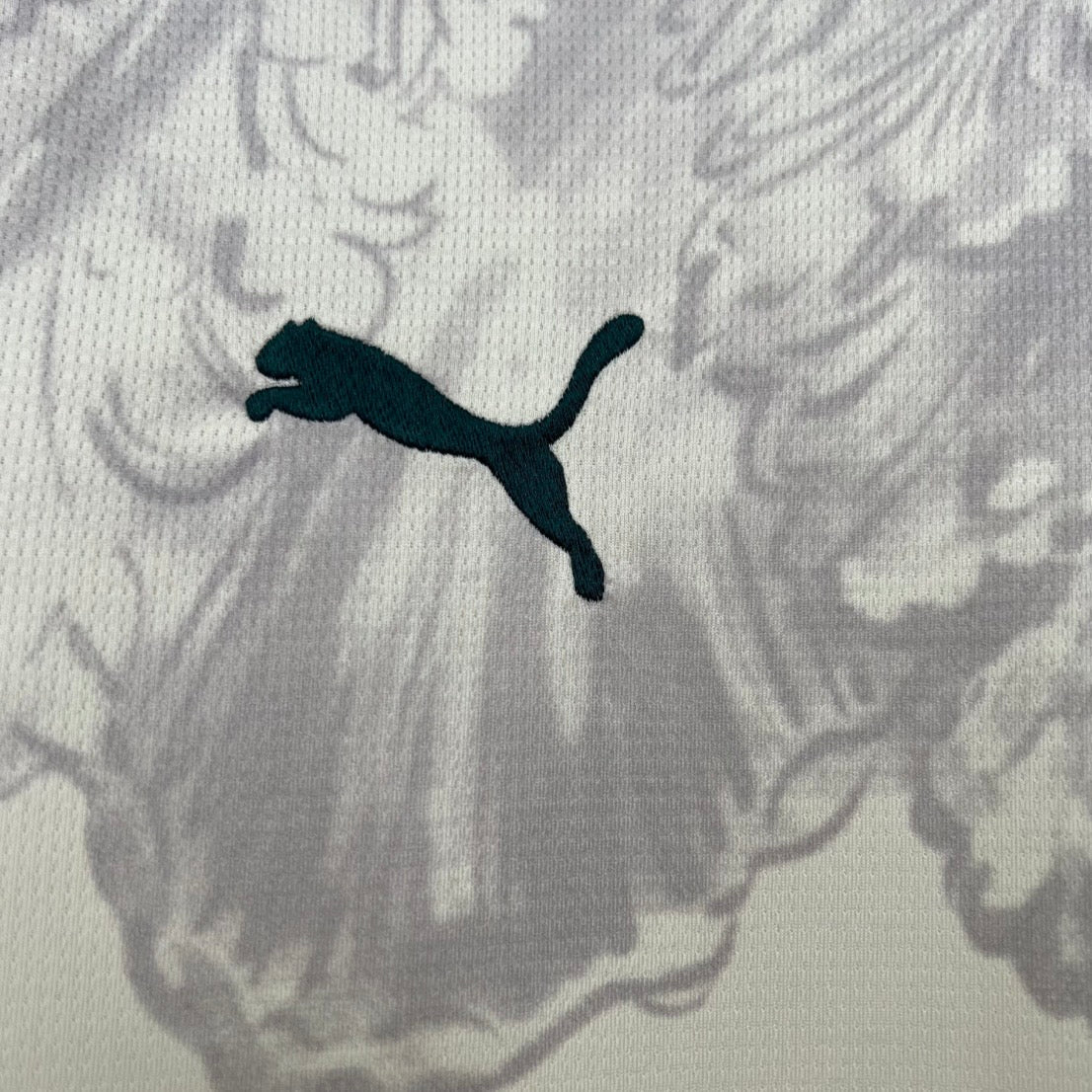 25/26 Palmeiras third away